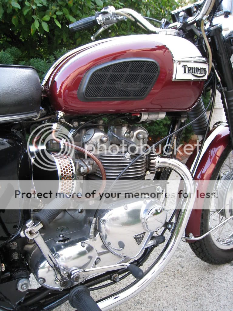 1972 triumph daytona 500